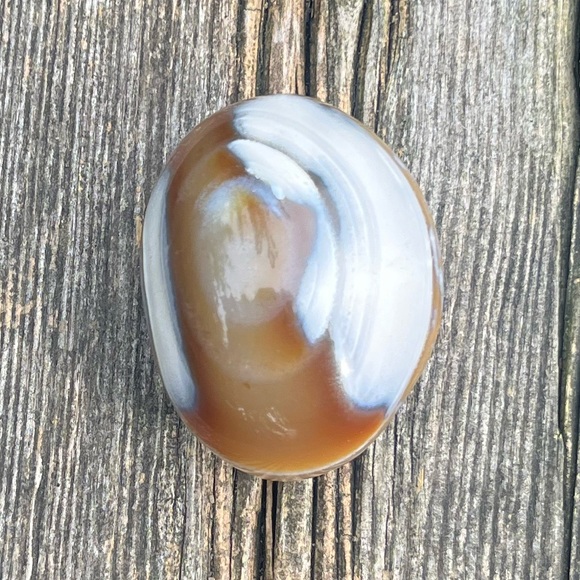Orca Agate Palm - Picture 2 of 8